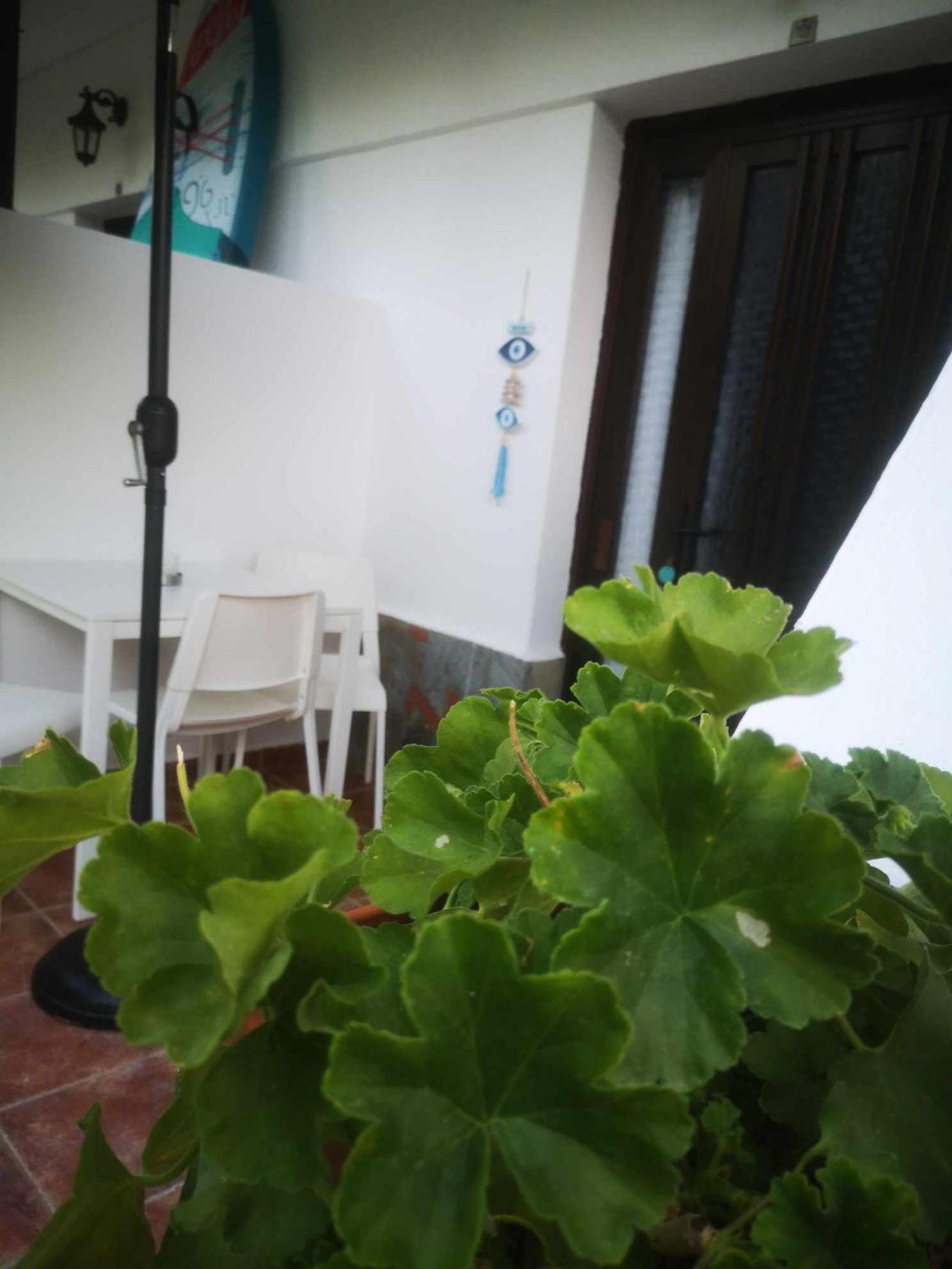 Achillion B&B Paralía Skotínis Екстериор снимка